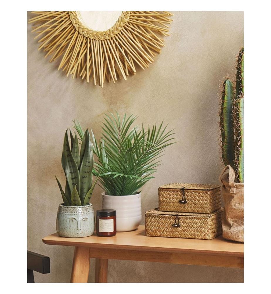Plante artificielle SNAKE PLANT 40 cm Vert