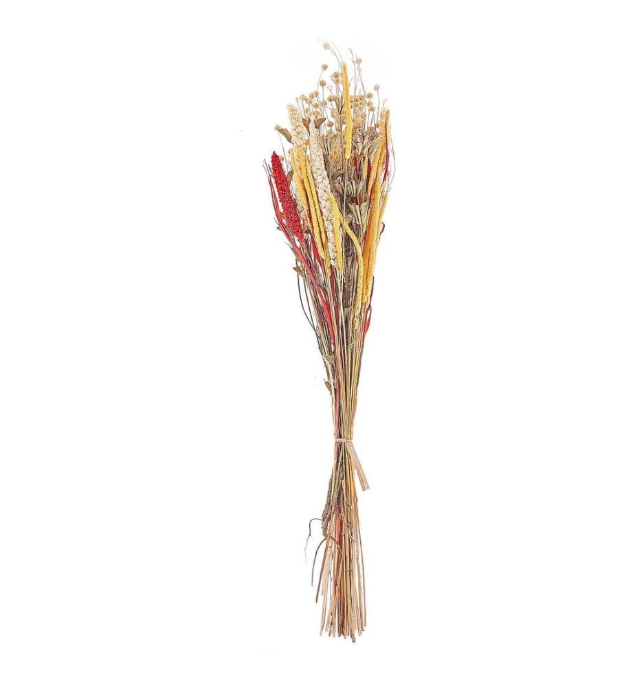 Bouquet de fleurs séchées PAMPELUNA 65 cm Naturel
