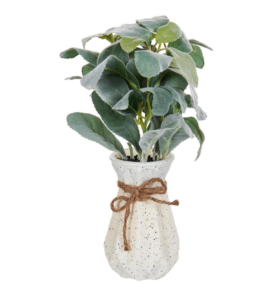 Kunstpflanze PEPEROMIA ARGYREIA 30 cm Grün