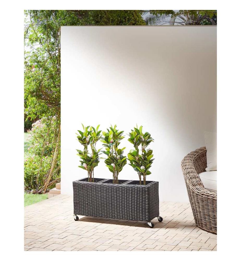 Cache-pot BELLIS 82 cm Noir Polyrotin