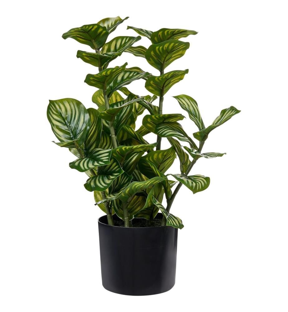 Plante artificielle ORBIFOLIA 50 cm Vert
