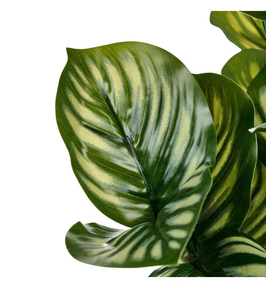 Plante artificielle ORBIFOLIA 50 cm Vert