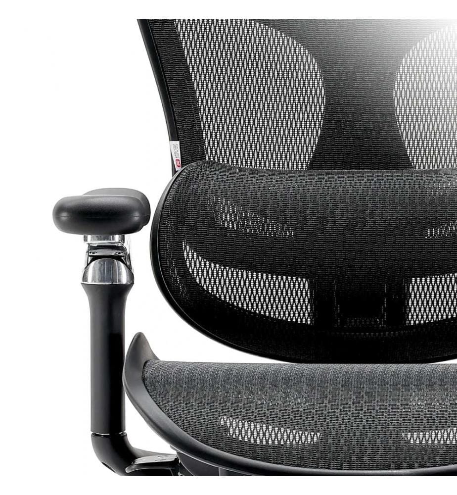 Bürostuhl C300 Pro mit Fussstütze – Schwarz","detected_source_language":"FR