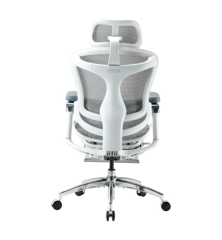 Bürostuhl C300 Pro mit Fussstütze – Grau und Weiss","detected_source_language":"FR