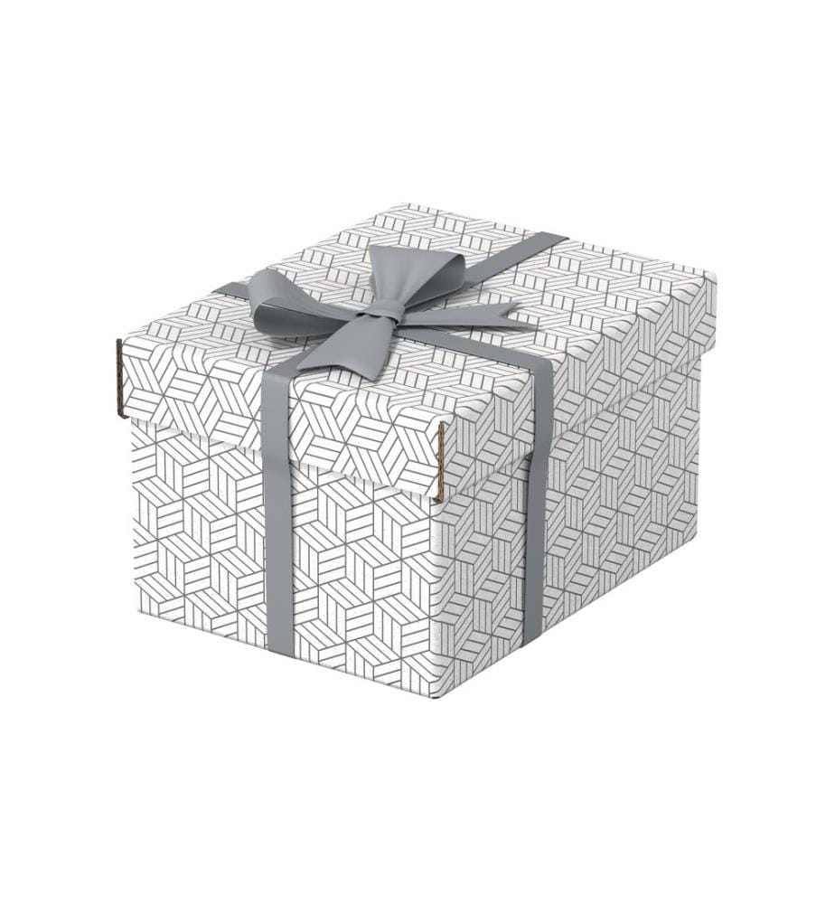 LEITZ - Boîte de rangement Esselte Home S Petit, 3 pièces, Blanc