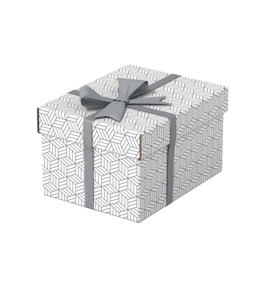 LEITZ - Boîte de rangement Esselte Home S Petit, 3 pièces, Blanc