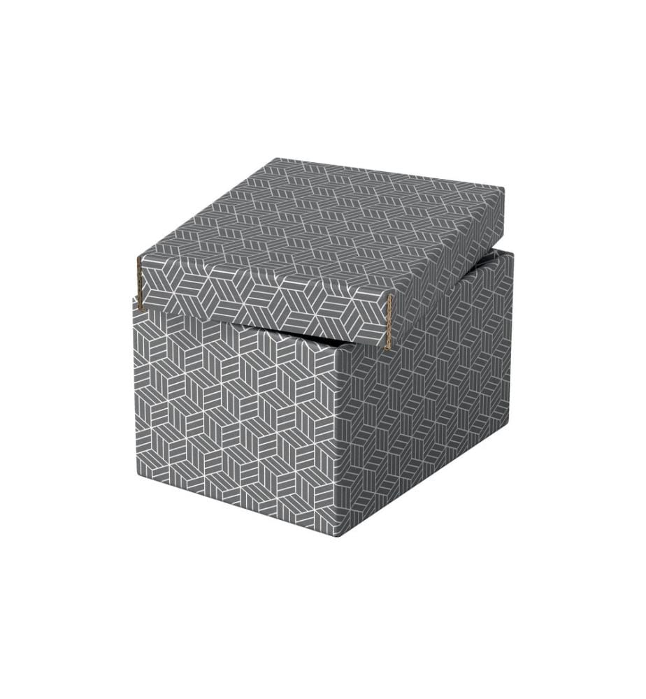 LEITZ - Aufbewahrungsbox Esselte Home S Klein, 3 Stück, Grau