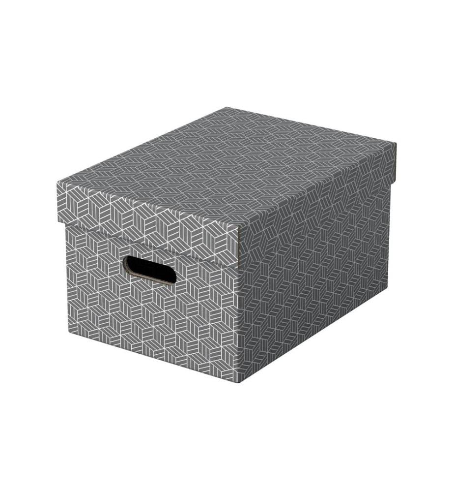 LEITZ - Boîte de rangement Esselte Home M Moyen, 3 pièces, Gris