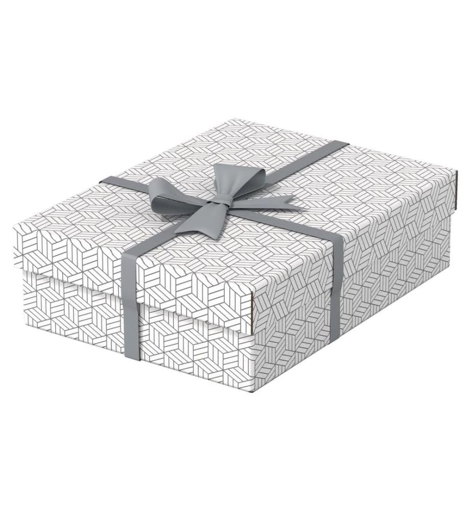 LEITZ - Boîte de rangement Esselte Home M flat Moyen, 3 pièces, Blanc