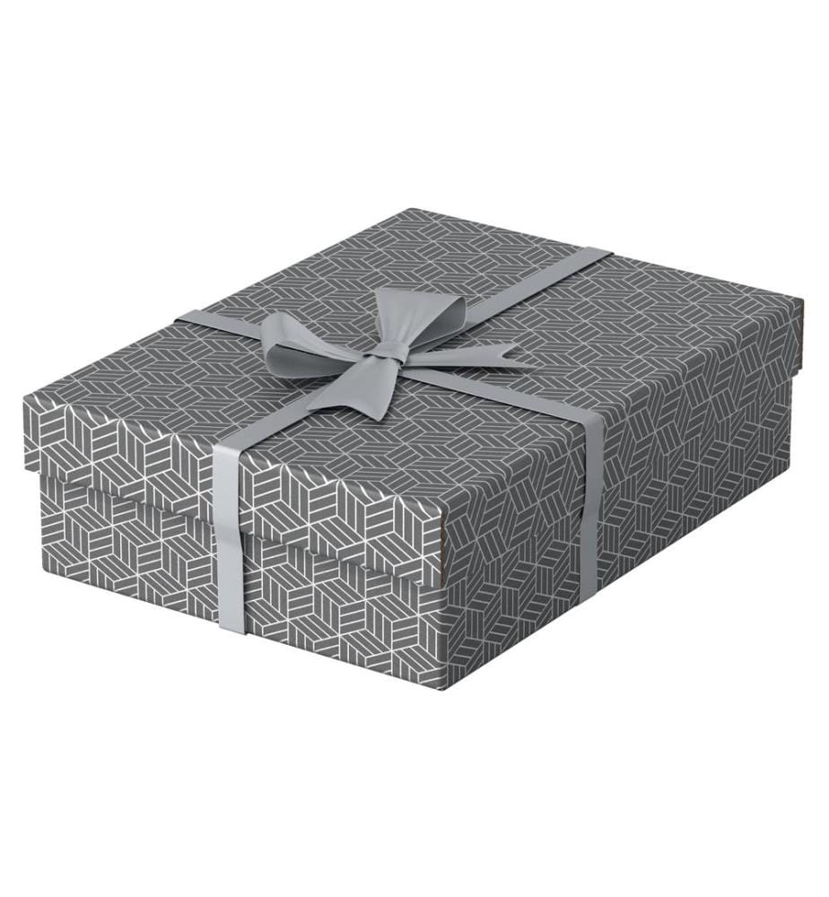 LEITZ - Boîte de rangement Esselte Home M flat Moyen, 3 pièces, Gris