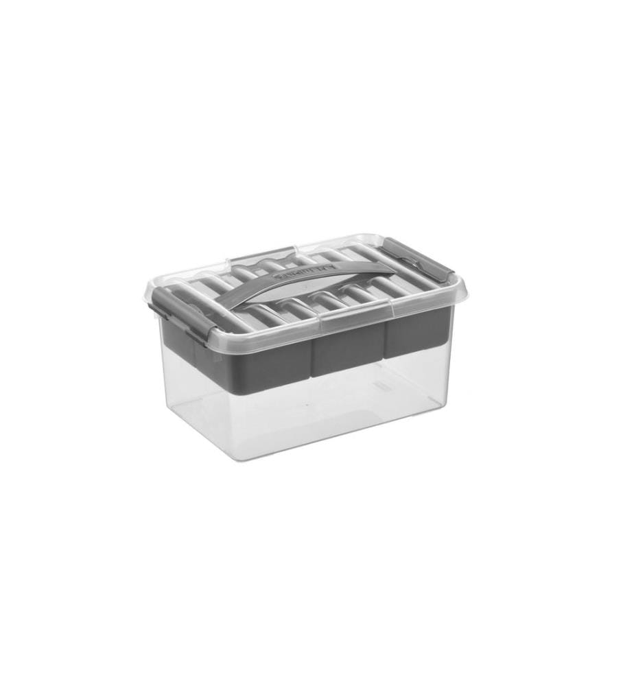 SIGMA HOME - Aufbewahrungsbox Q-Line Grau, Volumen: 6 l