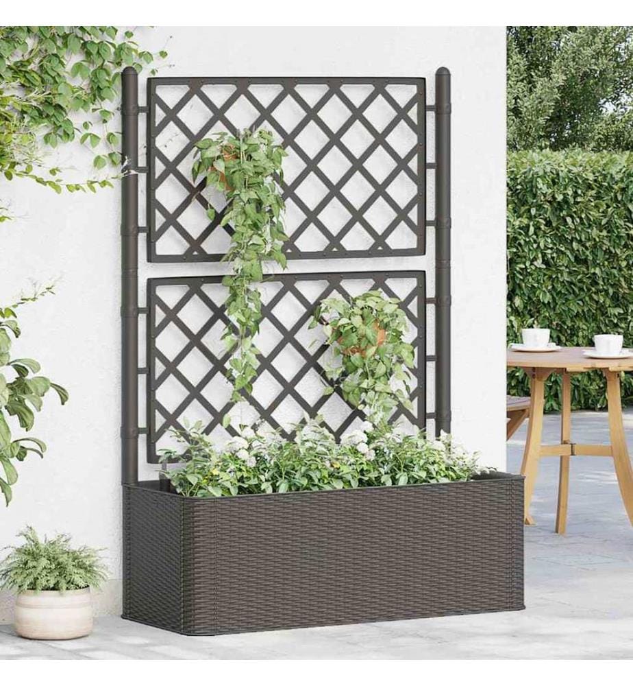 Garten-Hochbeet mit Spalier Selbstbewässerungssystem Anthrazit