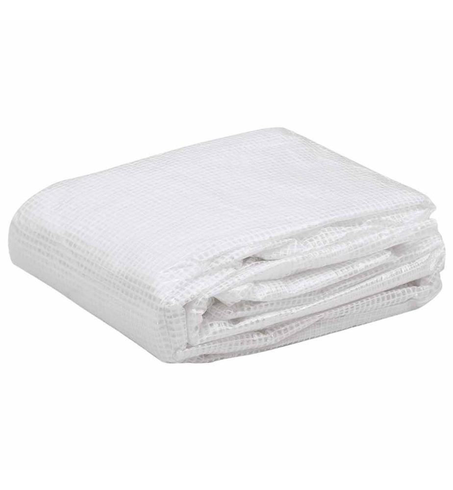 Couverture de remplacement de serre (18 m²) 3x6x2 m Transparent