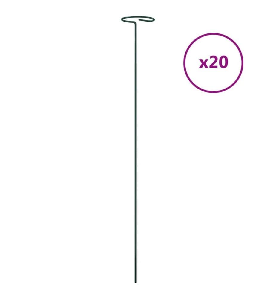 Pflanzenstützen 20 Stk. Dunkelgrün 61 cm Stahl