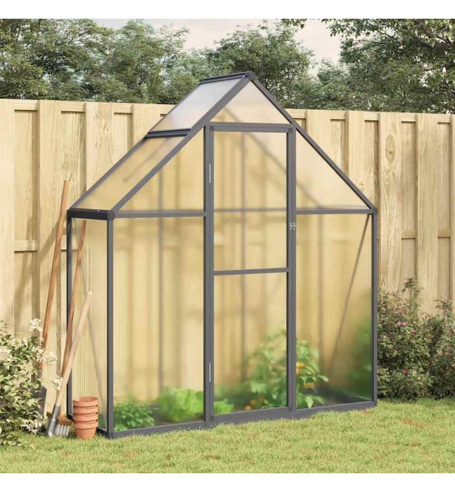 Gewächshaus mit Fundamentrahmen Anthrazit 169x58x195 cm Alu