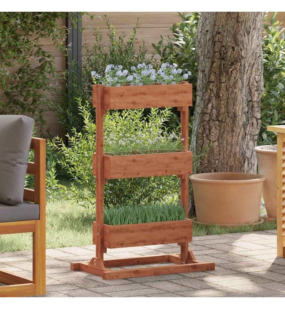Jardinière 52x30x78 cm Bois de sapin