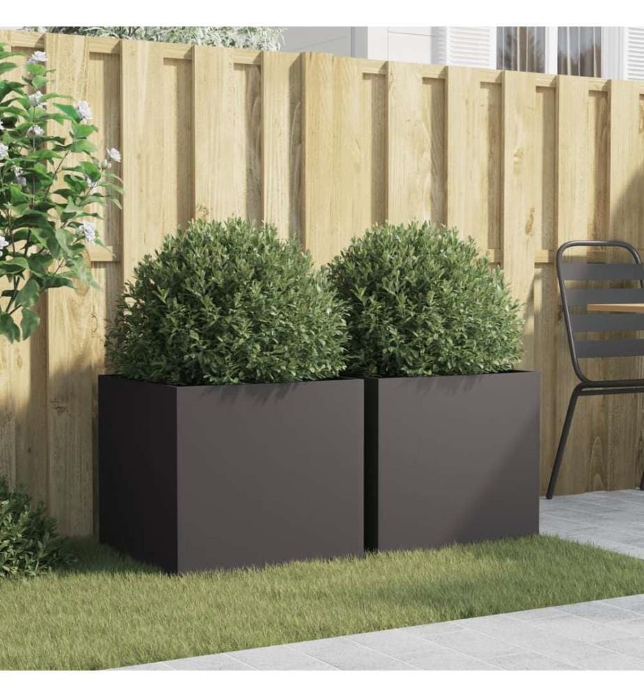 Jardinières 2 pcs noir 49x47x46 cm acier