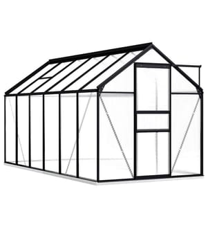 Serre avec cadre de base Anthracite Aluminium 7,03 m²