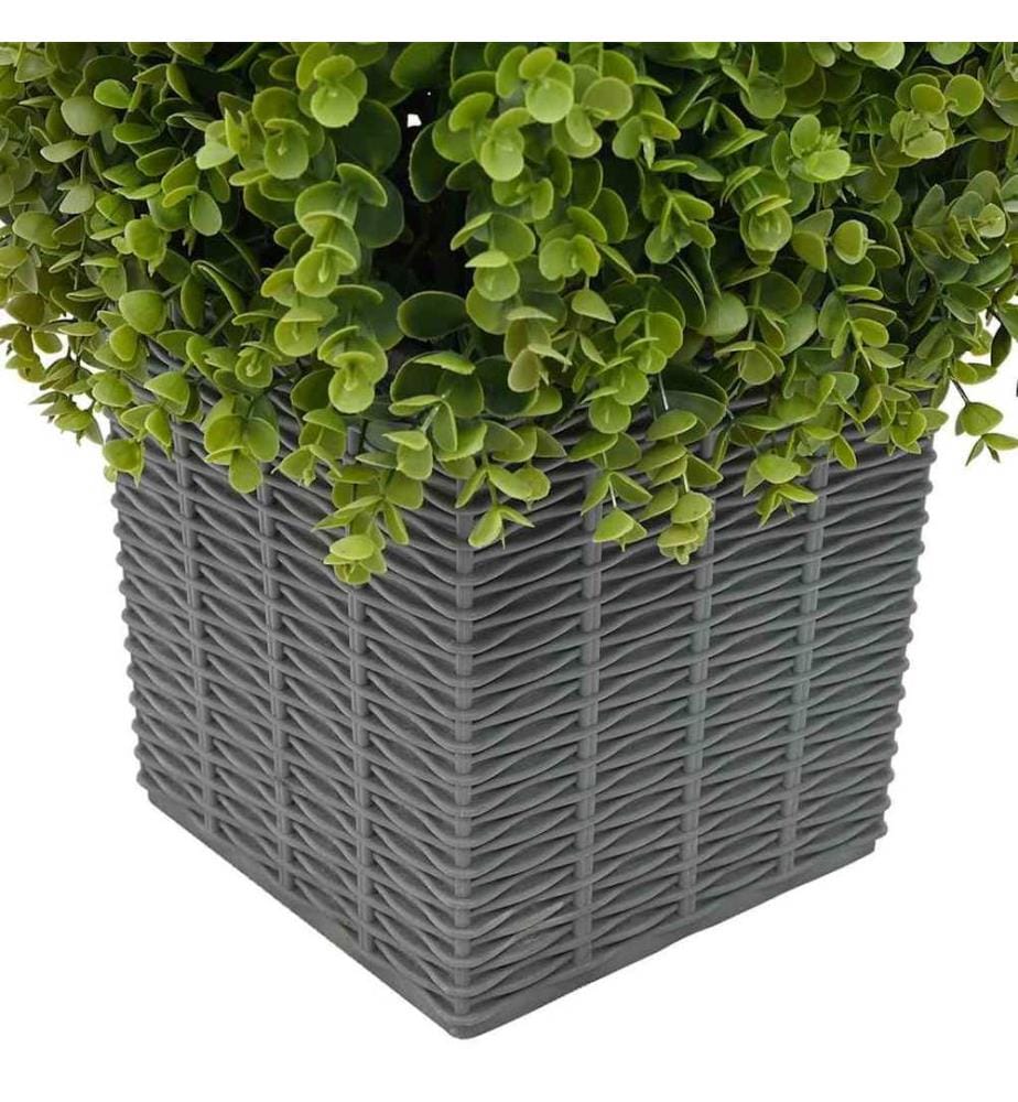 Tour en Herbe Eucalyptus Vert 27 x 27 x 90 cm Plastique