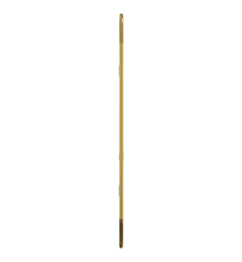Wandspiegel Golden 60x25 cm Oval