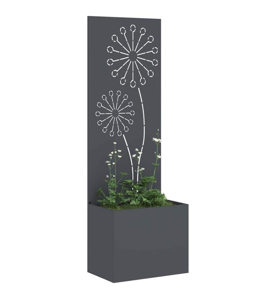Garten Sichtschutz-Leinwand Anthrazit 50 x 150 cm