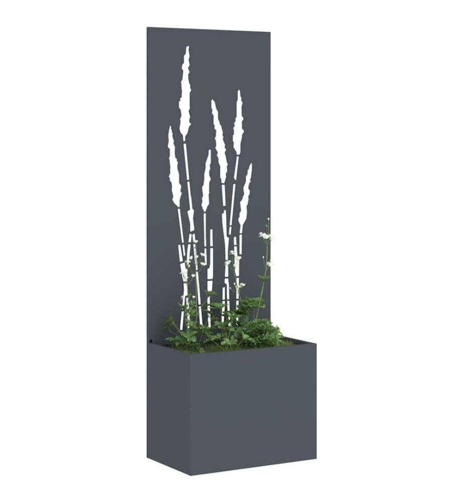 Garten Sichtschutz-Leinwand Anthrazit 50 x 150 cm