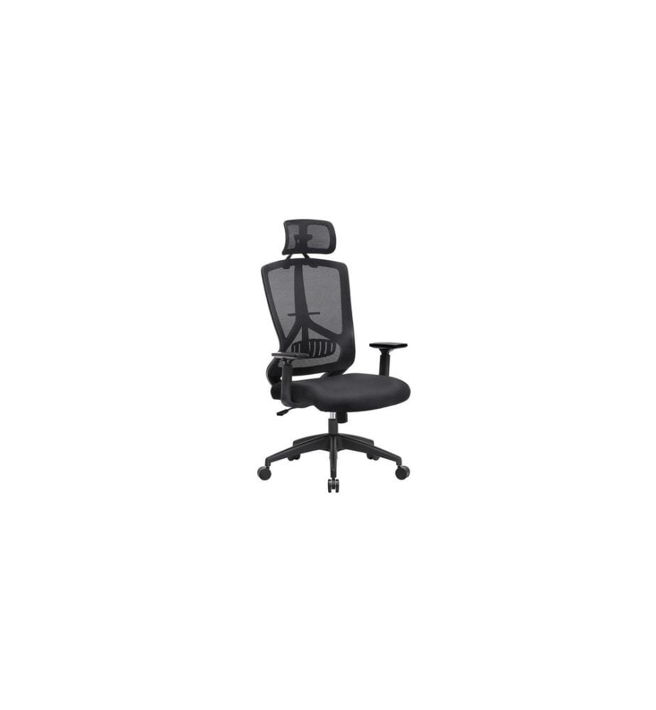 Songmics - Chaise de bureau avec accoudoirs et repose-pieds Noir
