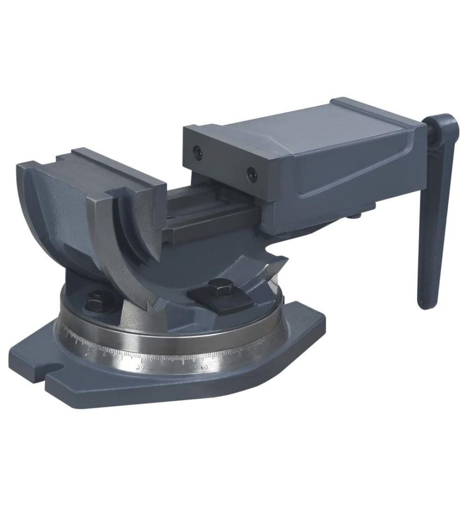 2-Achsen-Schraubstock Kippbar 100 mm
