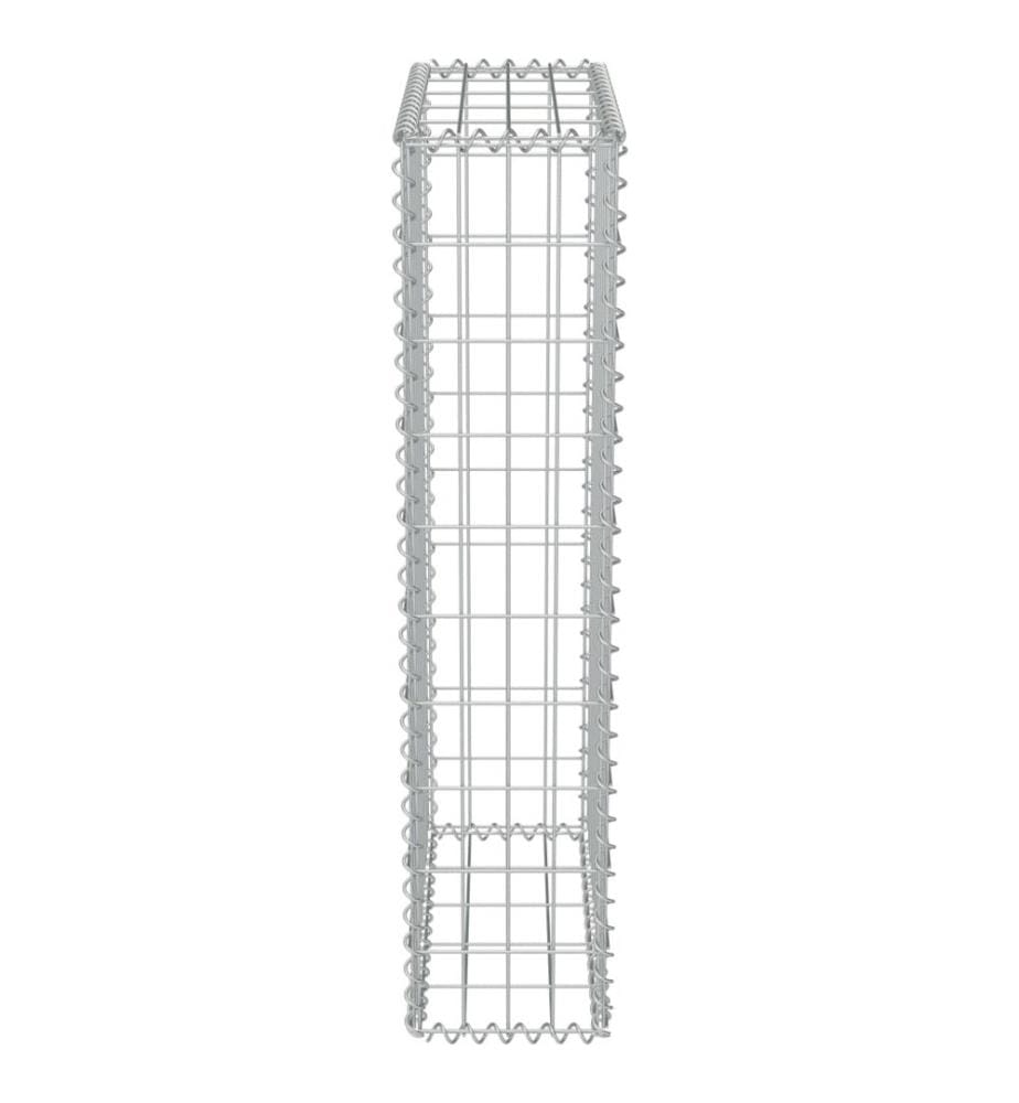 Mur en gabion avec couvercles Acier galvanisé 50 x 20 x 100 cm