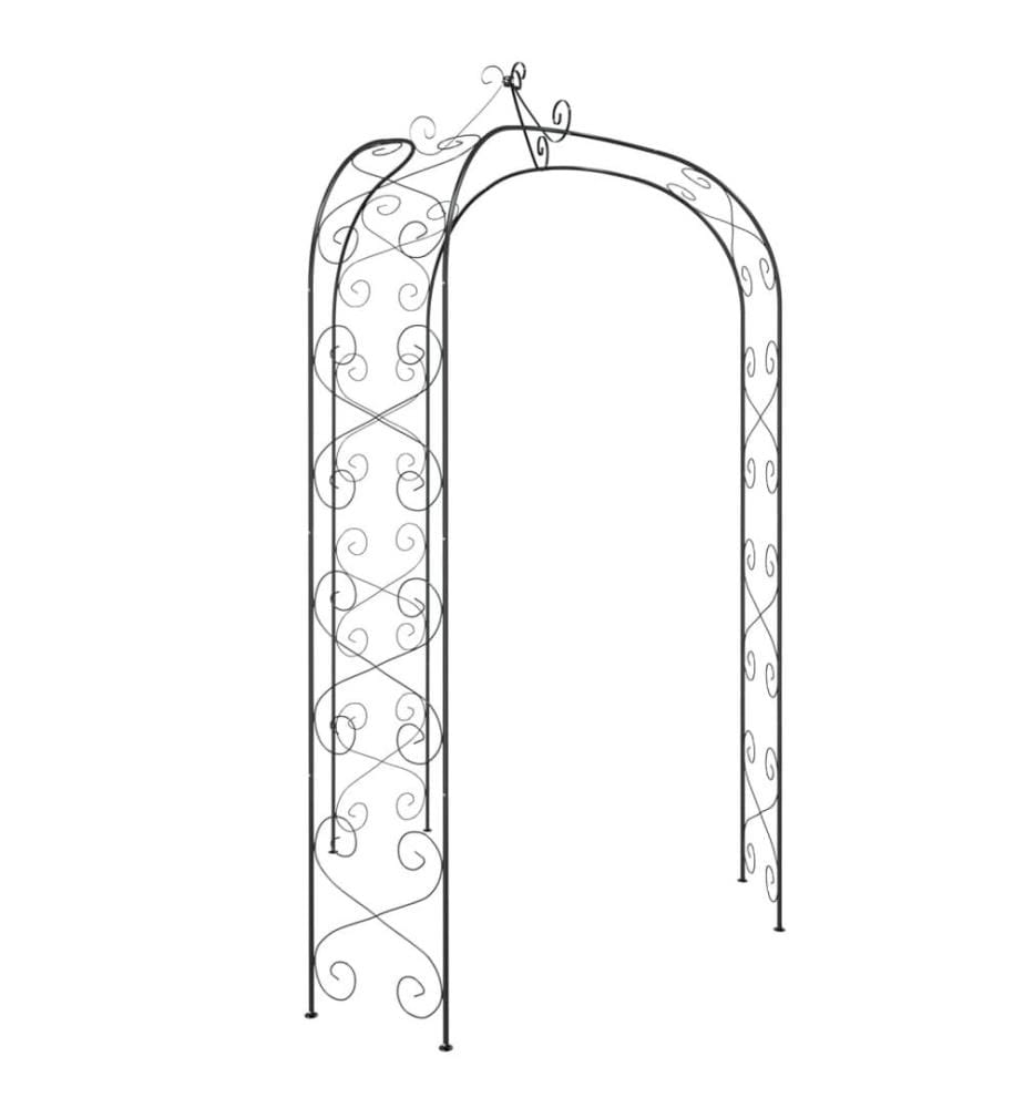 Arche de jardin Noir Ø180x255 cm Acier