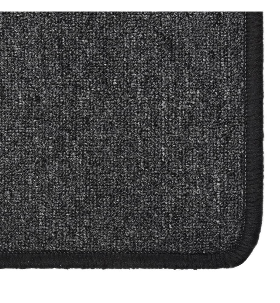 Tapis de couloir Anthracite 80x250 cm