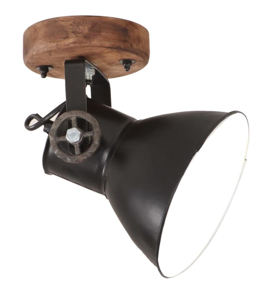 Wand-/Deckenlampen Industriestil 2 Stk. Schwarz 20x25 cm E27