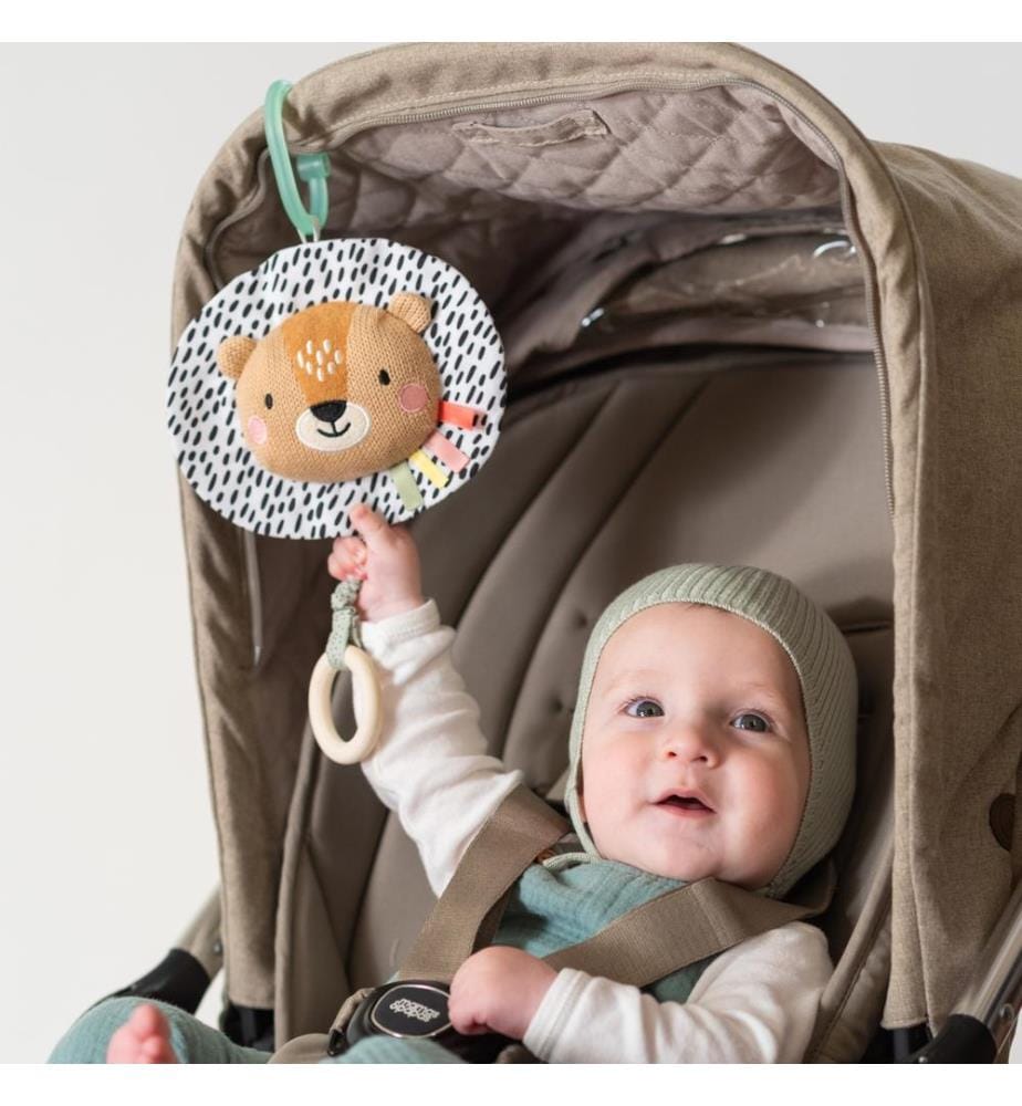 Harry the Lion Musical Toy