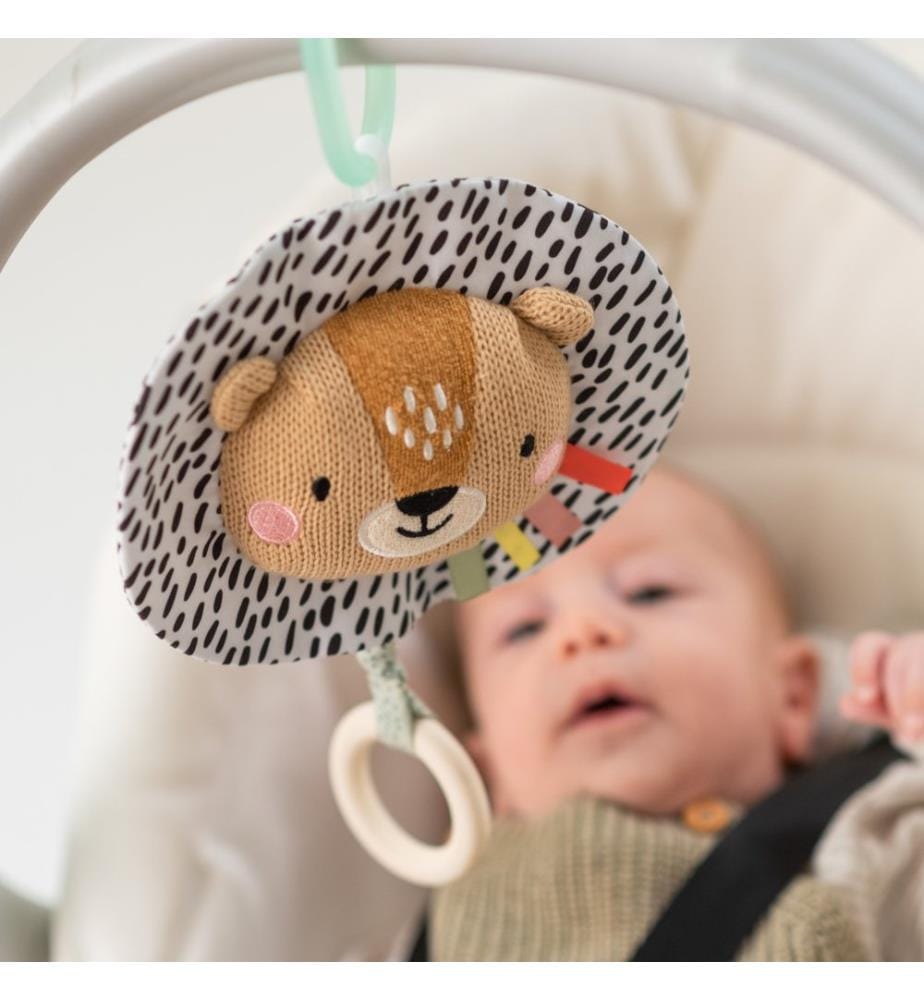 Harry the Lion Musical Toy