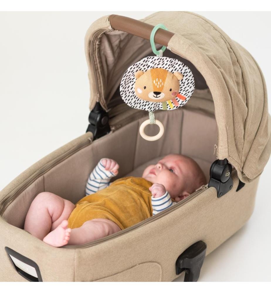 Harry the Lion Musical Toy