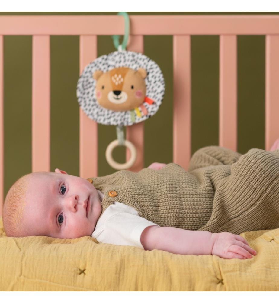 Harry the Lion Musical Toy