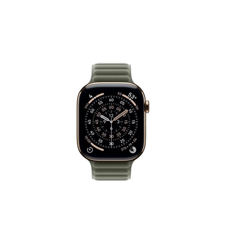 APPLE - Magnetic Link 46 mm Sage Gray M/L