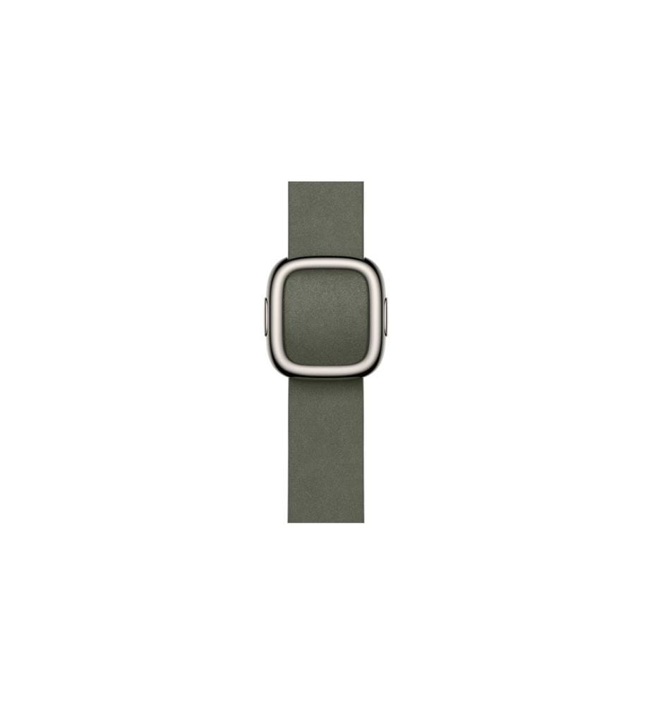 Apple Modern Buckle 42 mm Sage Gray Large