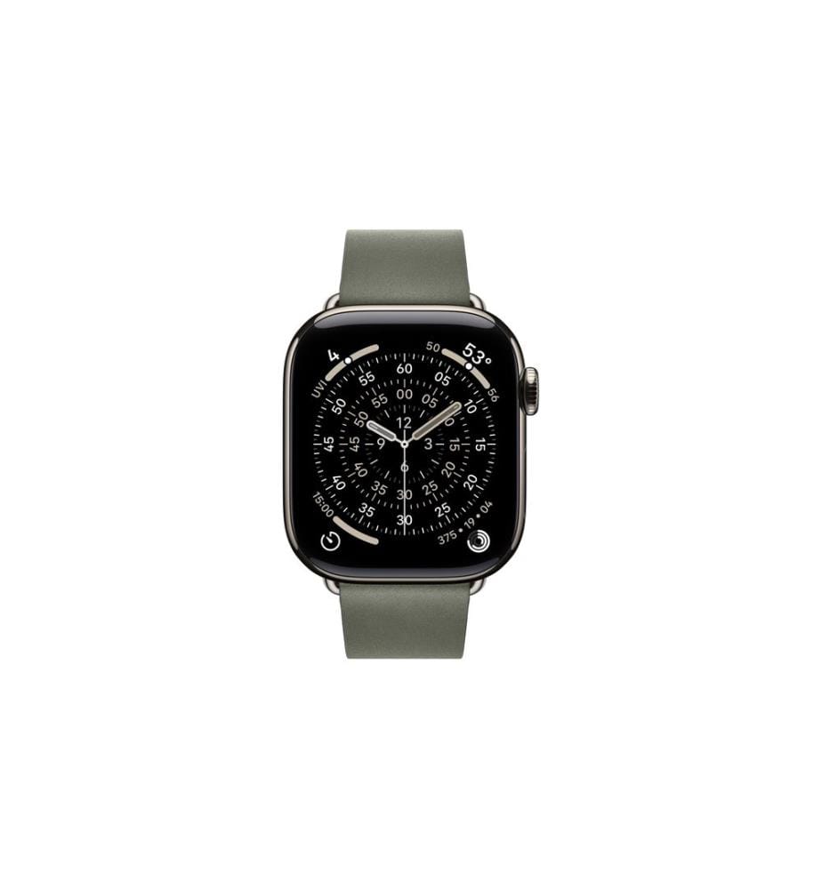 Apple Modern Buckle 42 mm Sage Gray Large