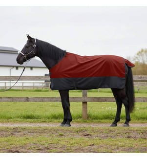 Pferdedecke Dunkelgrün und Schwarz 115 cm Polyester