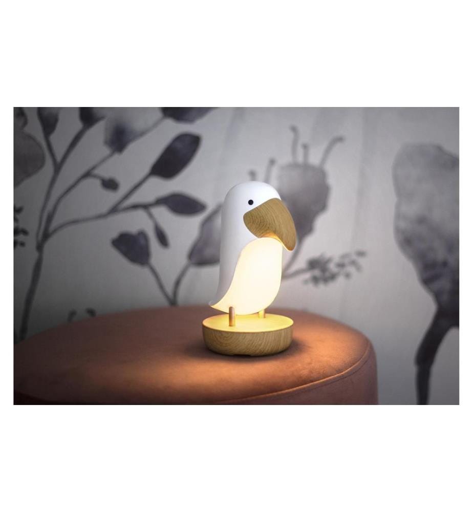 STAR TRADING - Veilleuse LED Functional Toucan, Blanc chaud, 2.4 W