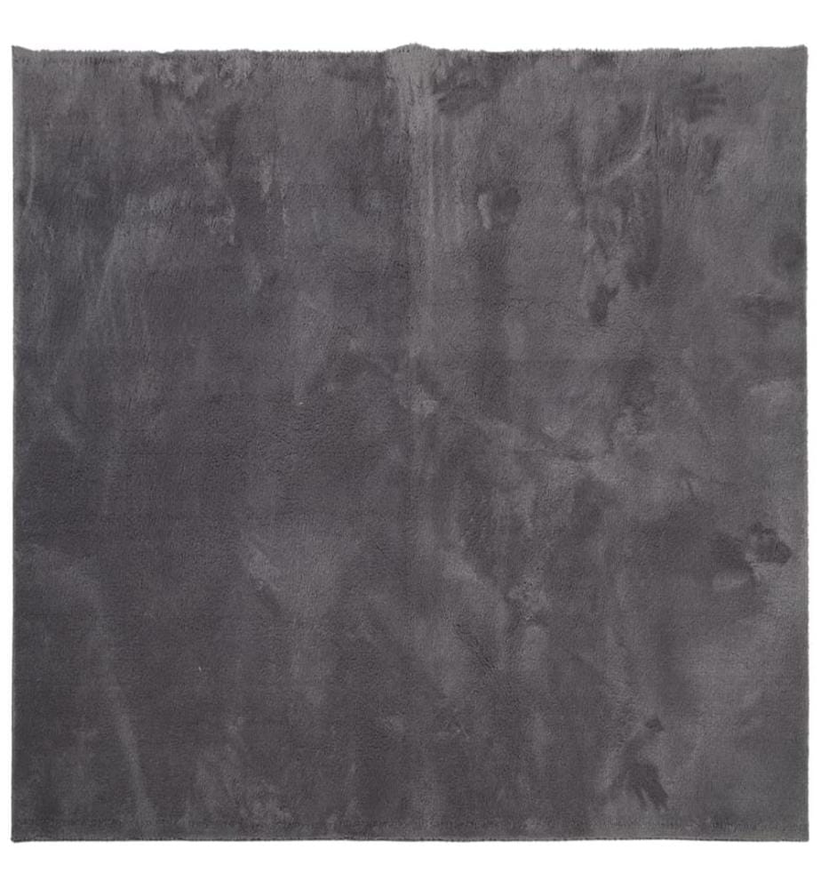 Tapis à poils courts doux et lavable anthracite 160x160 cm