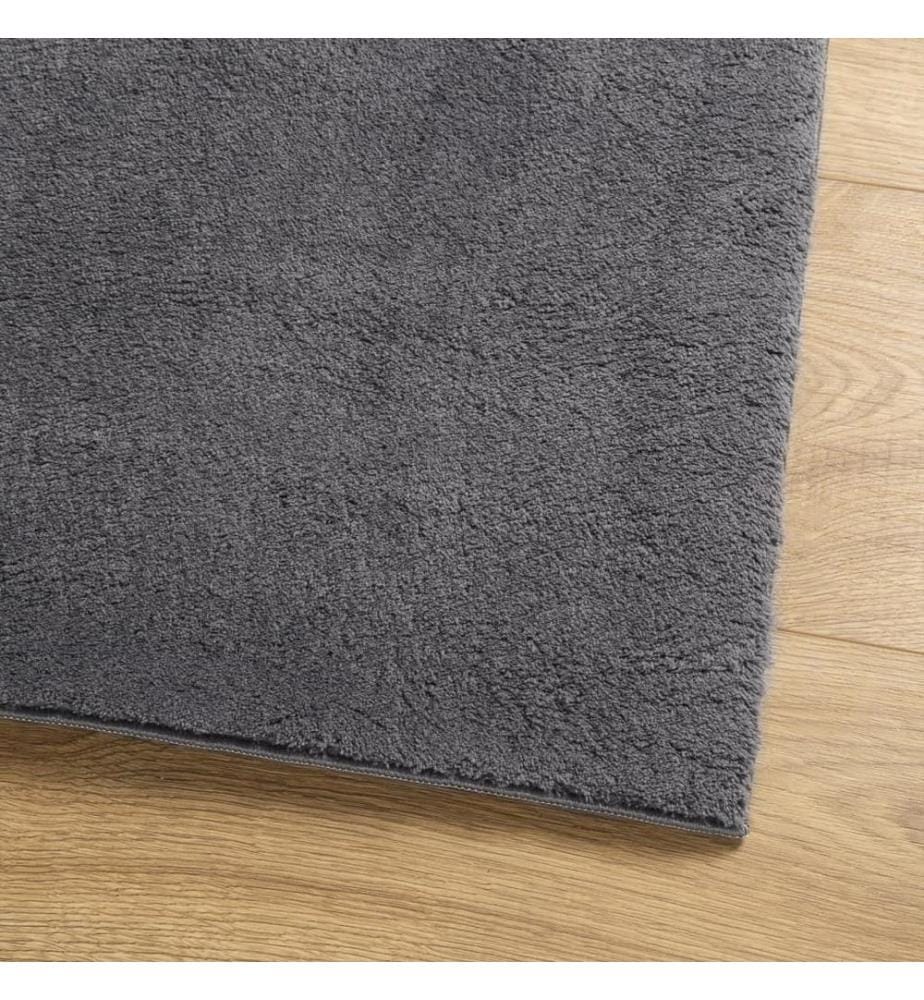 Tapis à poils courts doux et lavable anthracite 160x160 cm