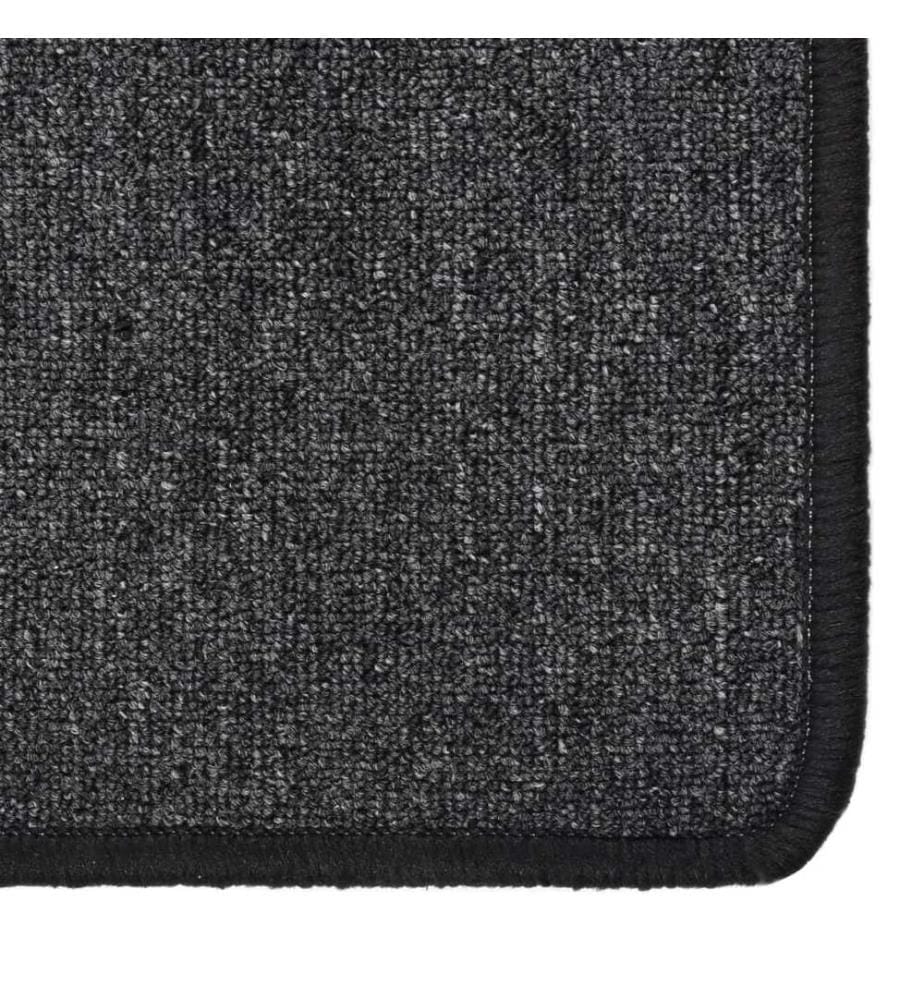 Tapis de couloir Anthracite 50x250 cm