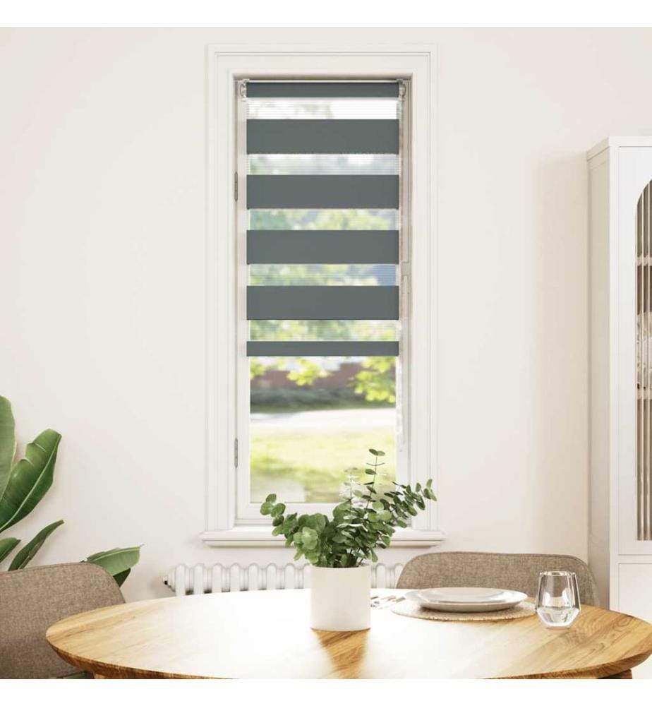 Doppelrollo Dunkelgrau 50x100 cm Stoffbreite 45,9 cm Polyester
