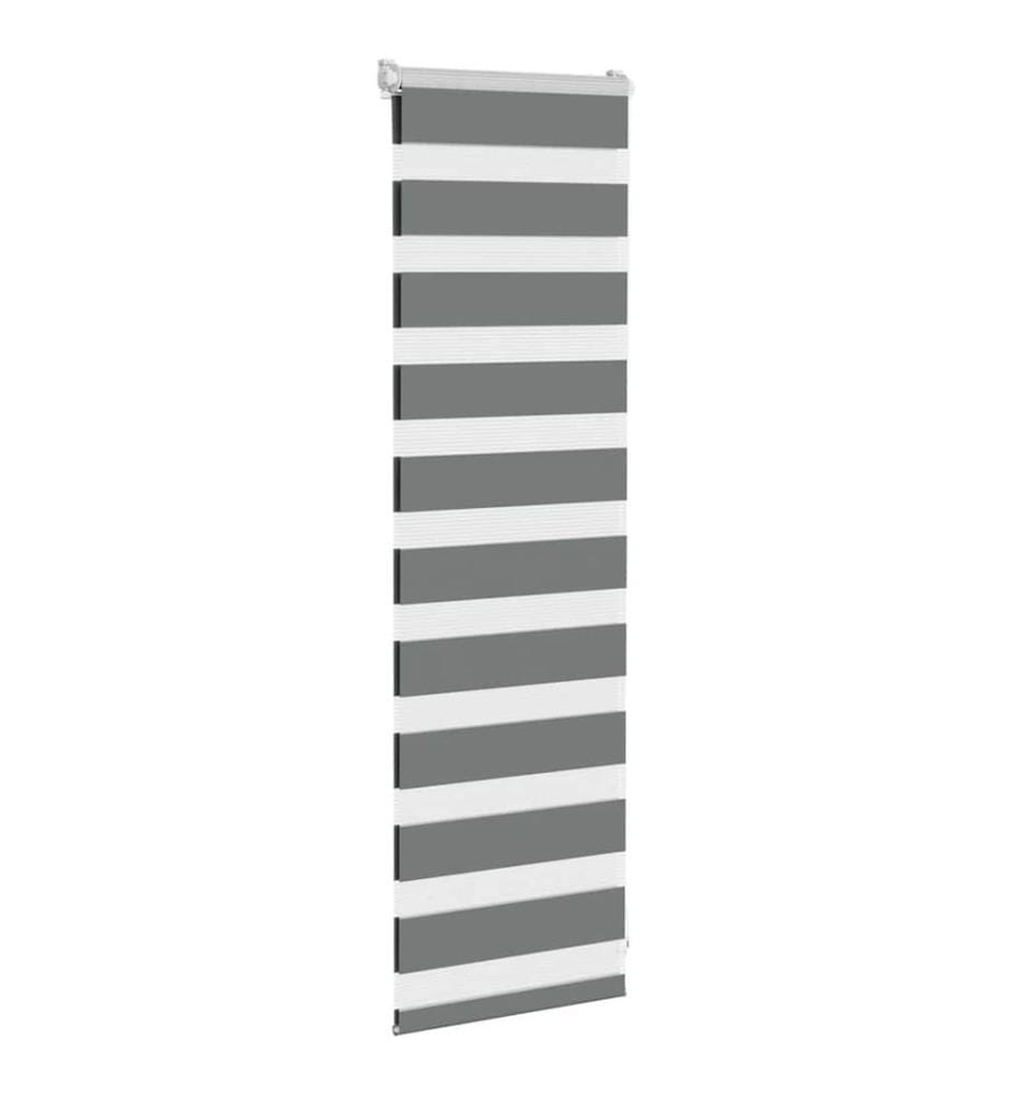 Doppelrollo Dunkelgrau 50x100 cm Stoffbreite 45,9 cm Polyester