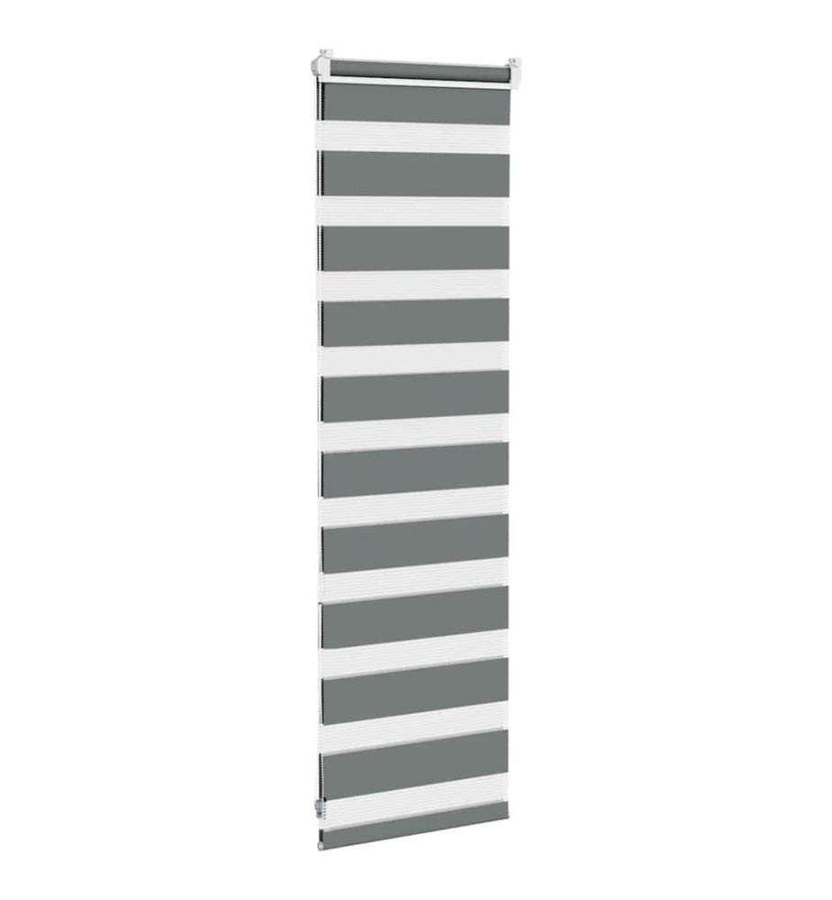 Doppelrollo Dunkelgrau 50x100 cm Stoffbreite 45,9 cm Polyester