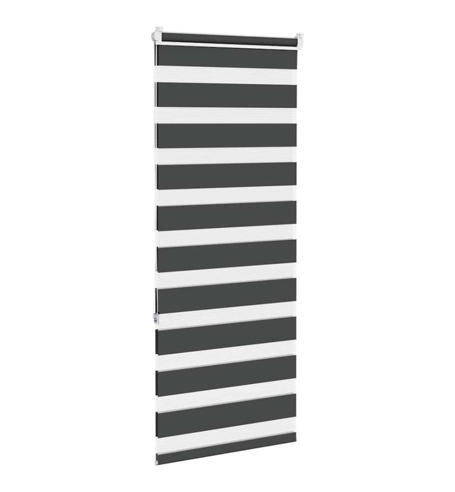 Doppelrollo Schwarz 55x150 cm Stoffbreite 50,9 cm Polyester