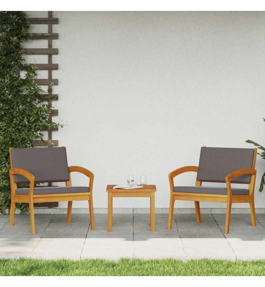 Chaise de jardin 2 pcs Huile Naturelle Bois d'Acacia Massif