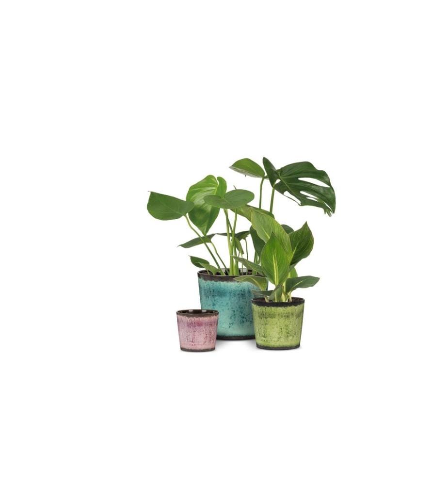 SCHEURICH - Blumentopf Ocean Glaze Ø 17.1 cm